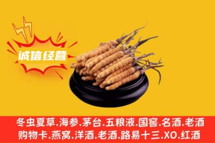 荆门回收冬虫夏草